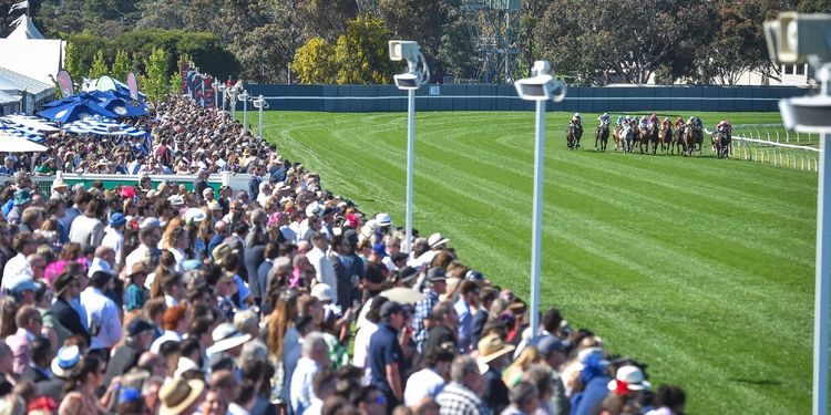 Geelong Cup