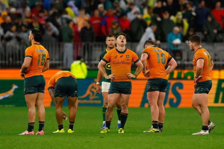 Wallabies