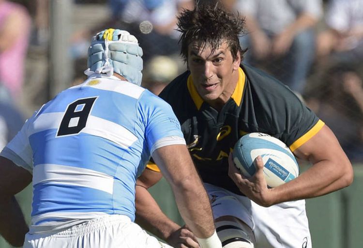 Springboks vs Argentina