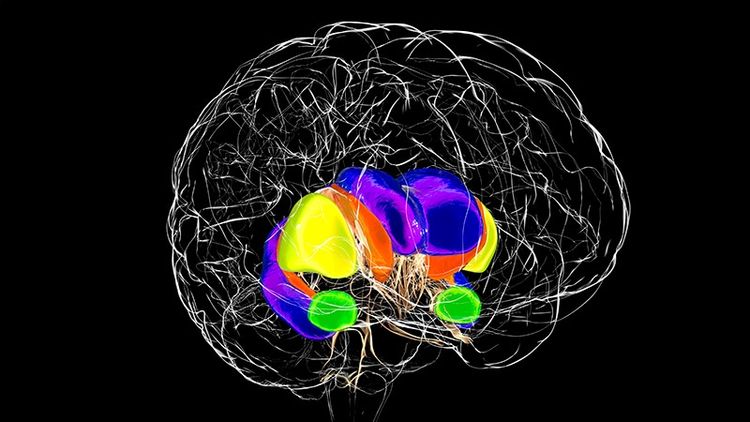 Huntington's disease